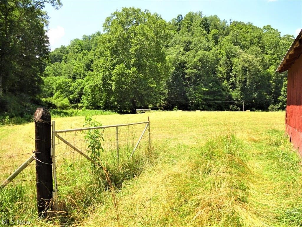 349 Maple Run Road Looneyville, WV 25259 - Photo 8 of 20 Gallery Image 8