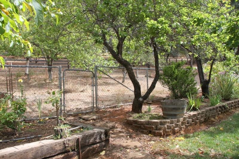 8891 Simmons Road Redding, CA 96001 - Photo 21 of 25 IMG_6914 (800x533)