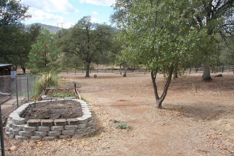 8891 Simmons Road Redding, CA 96001 - Photo 22 of 25 IMG_6916 (800x533)