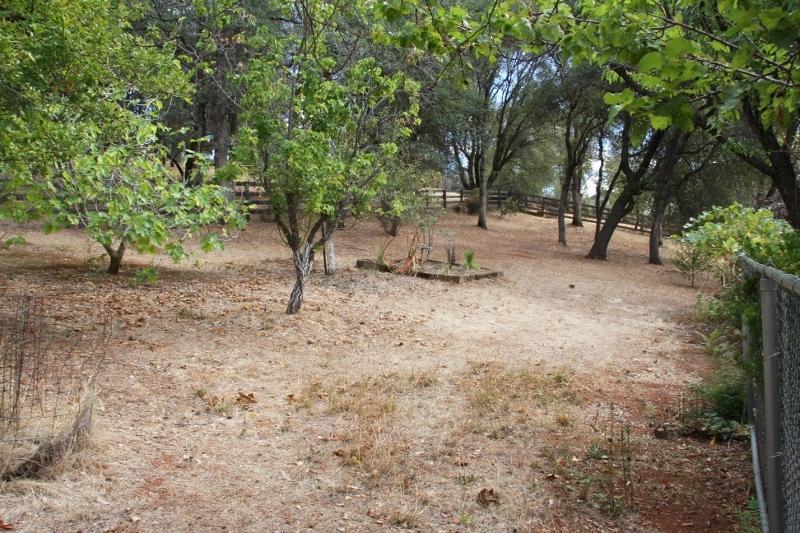 8891 Simmons Road Redding, CA 96001 - Photo 23 of 25 IMG_6917 (800x533)