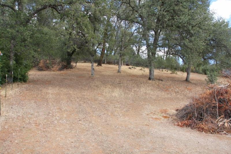 8891 Simmons Road Redding, CA 96001 - Photo 24 of 25 IMG_6921 (800x533)
