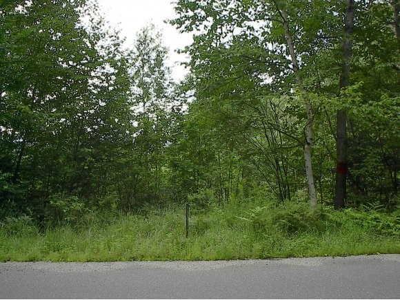 Oregon Road North Concord, VT 05858 - Photo 1 of 1