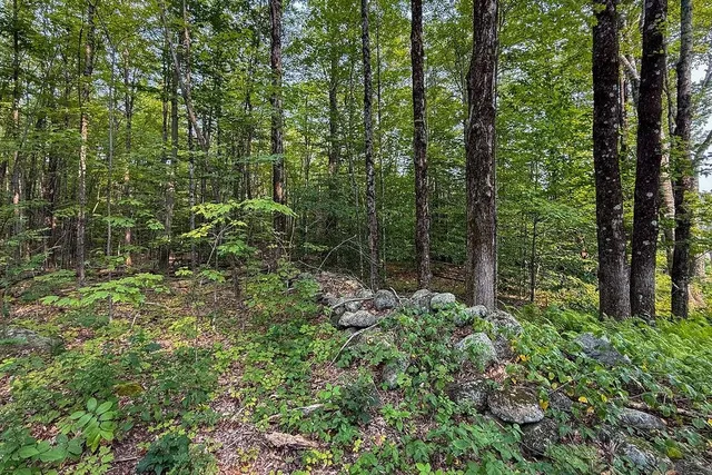 $149,900 | 0 Center Road, Hillsborough, NH 03244