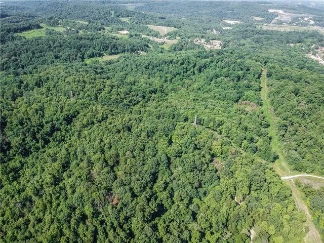 an aerial view of residential houses with outdoor space and trees
