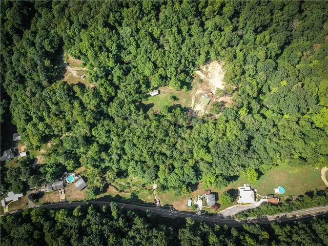 a view of a lush green forest