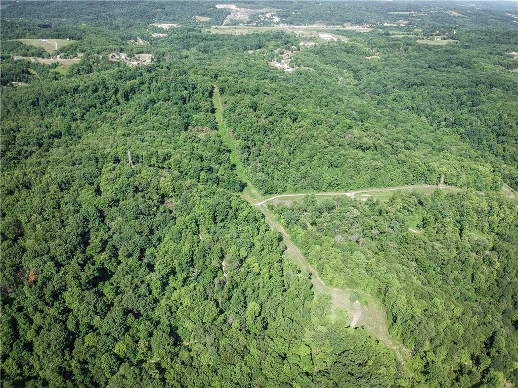 0 Callender Lane Tarentum, PA 15084 - Photo 14 of 25 a view of a lush green forest