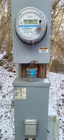 a view of a forest with a tree