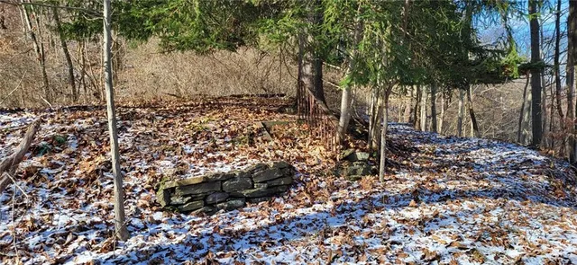 a view of yard with trees