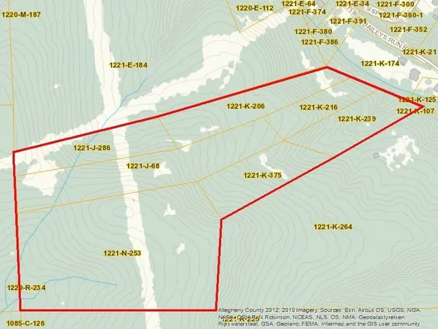 a sign that is sitting in front of a tree