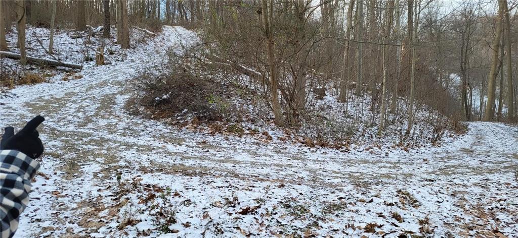 0 Callender Lane Tarentum, PA 15084 - Photo 22 of 25 a view of a dry yard with trees and bushes