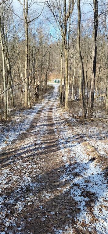 0 Callender Lane Tarentum, PA 15084 - Photo 23 of 25 a view of yard with trees