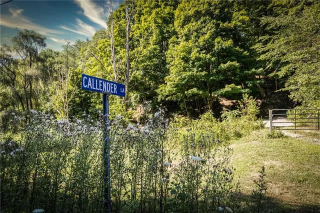 a view of backyard with green space