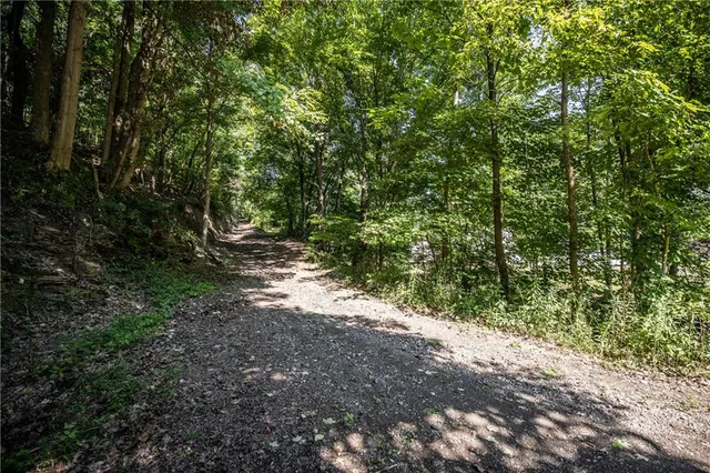 a backyard of a house with lots of plants and trees