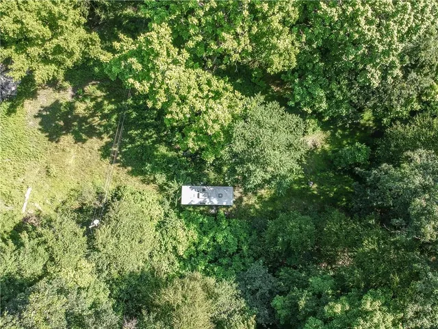 a view of a lush green forest with lots of trees