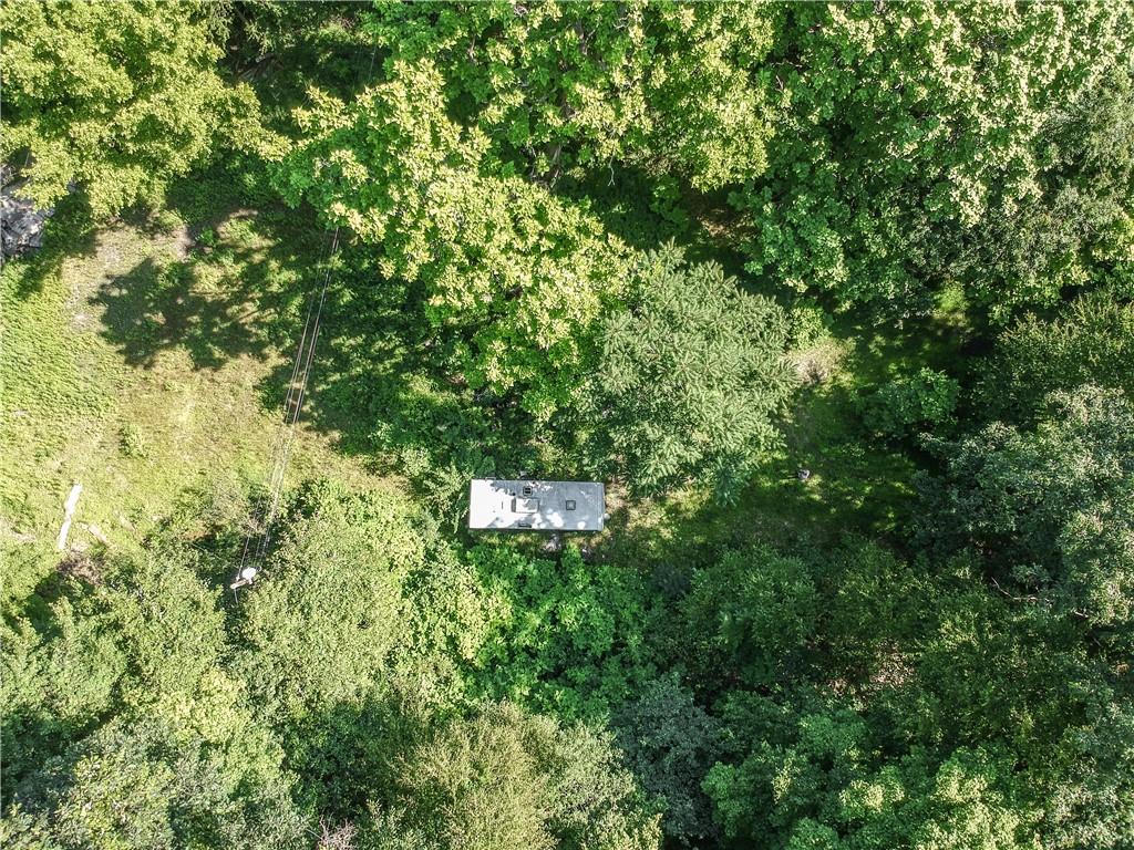 0 Callender Lane Tarentum, PA 15084 - Photo 9 of 25 a view of a lush green forest