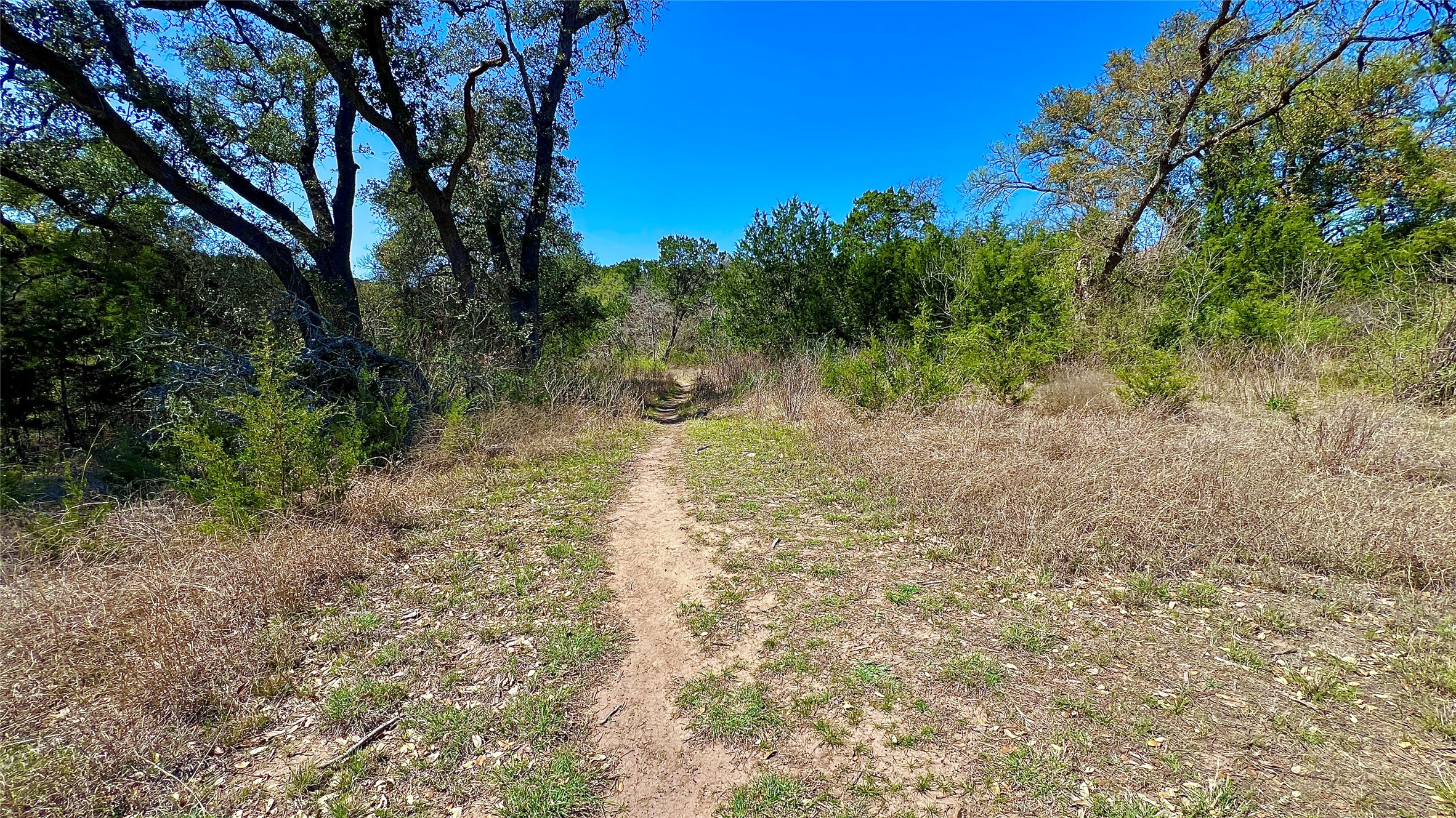1813 Chickasaw Run Leander, TX 78641 - Photo 31 of 32 Community trails and river access