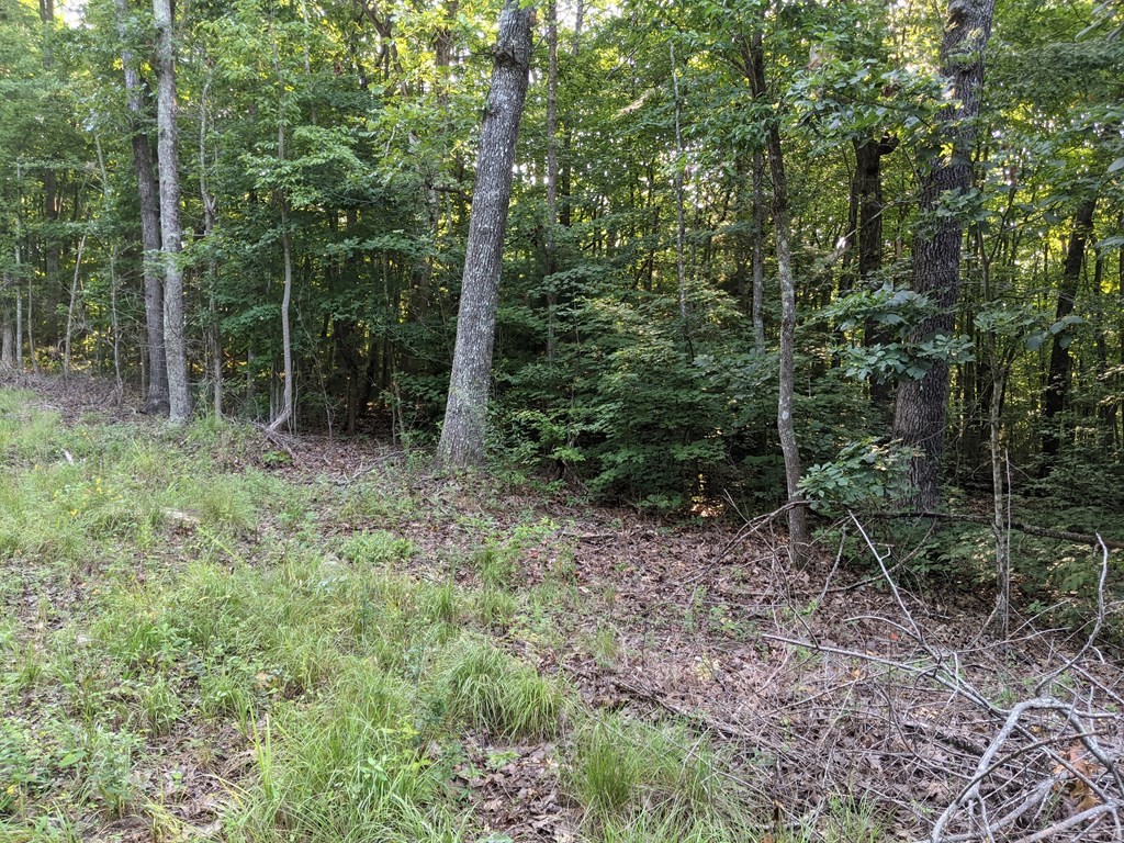 1328 Log Road Spring City, TN 37381 - Photo 5 of 5 Gallery Image 5