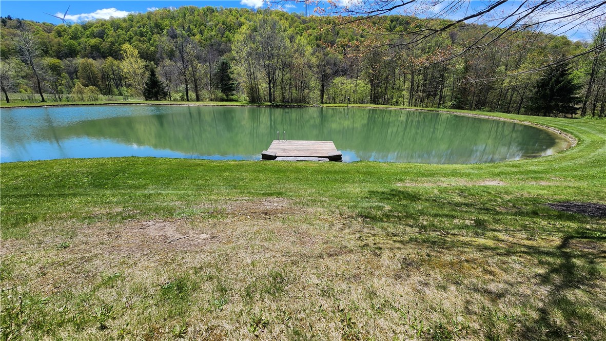 4810 Kirkwood Road Cohocton, NY 14826 - Photo 10 of 47