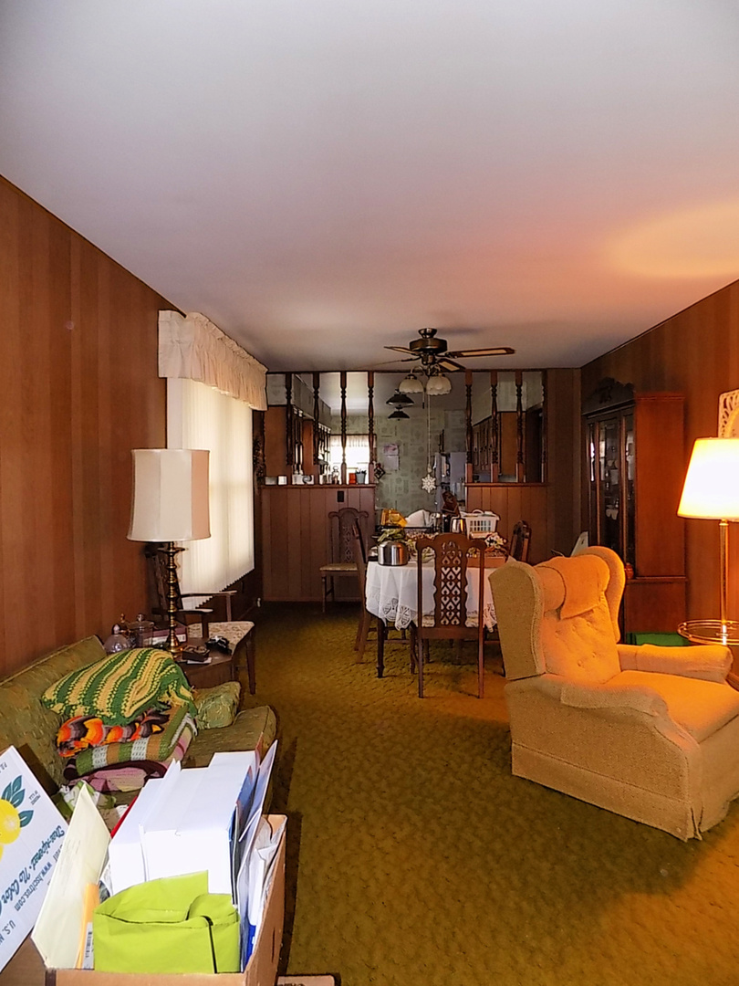 435 Sylvan Avenue Grand Ridge, IL 61325 - Photo 4 of 14 a living room with furniture a rug and a lamp