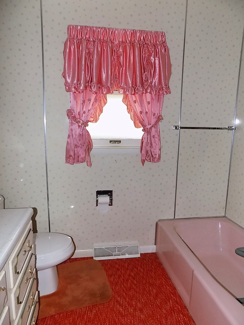 435 Sylvan Avenue Grand Ridge, IL 61325 - Photo 7 of 14 a bathroom with a sink and a mirror