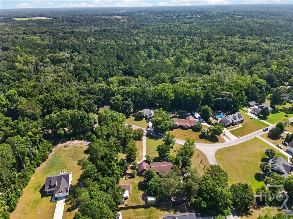 179 Hawk Hammock Road Springfield, GA 31329 - Photo 58 of 67
