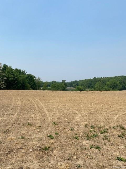 7451 Fostoria Road Mayville, MI 48744 - Photo 23 of 41