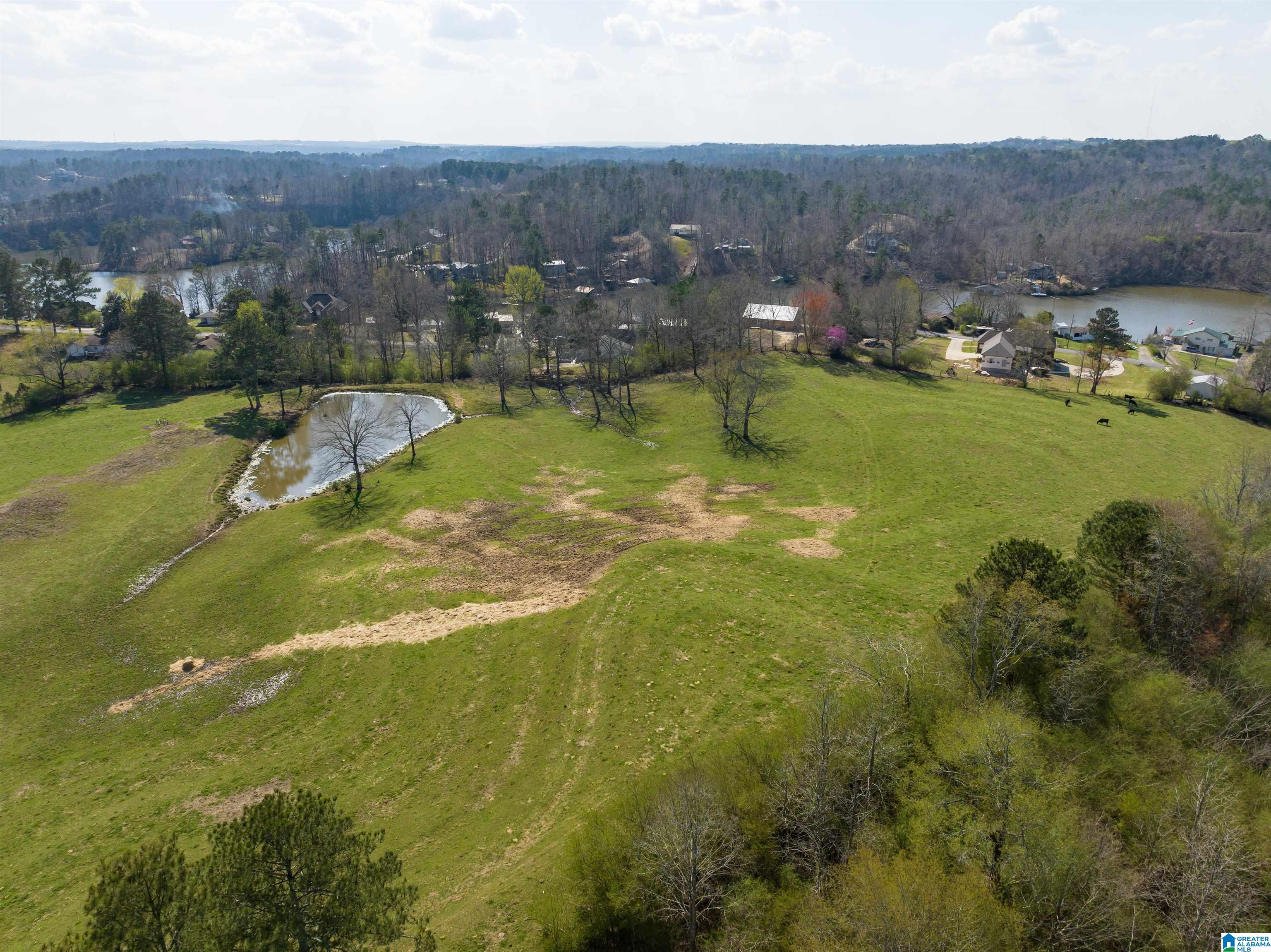 401 Lakeshore Lane Oneonta, AL 35121 - Photo 22 of 24