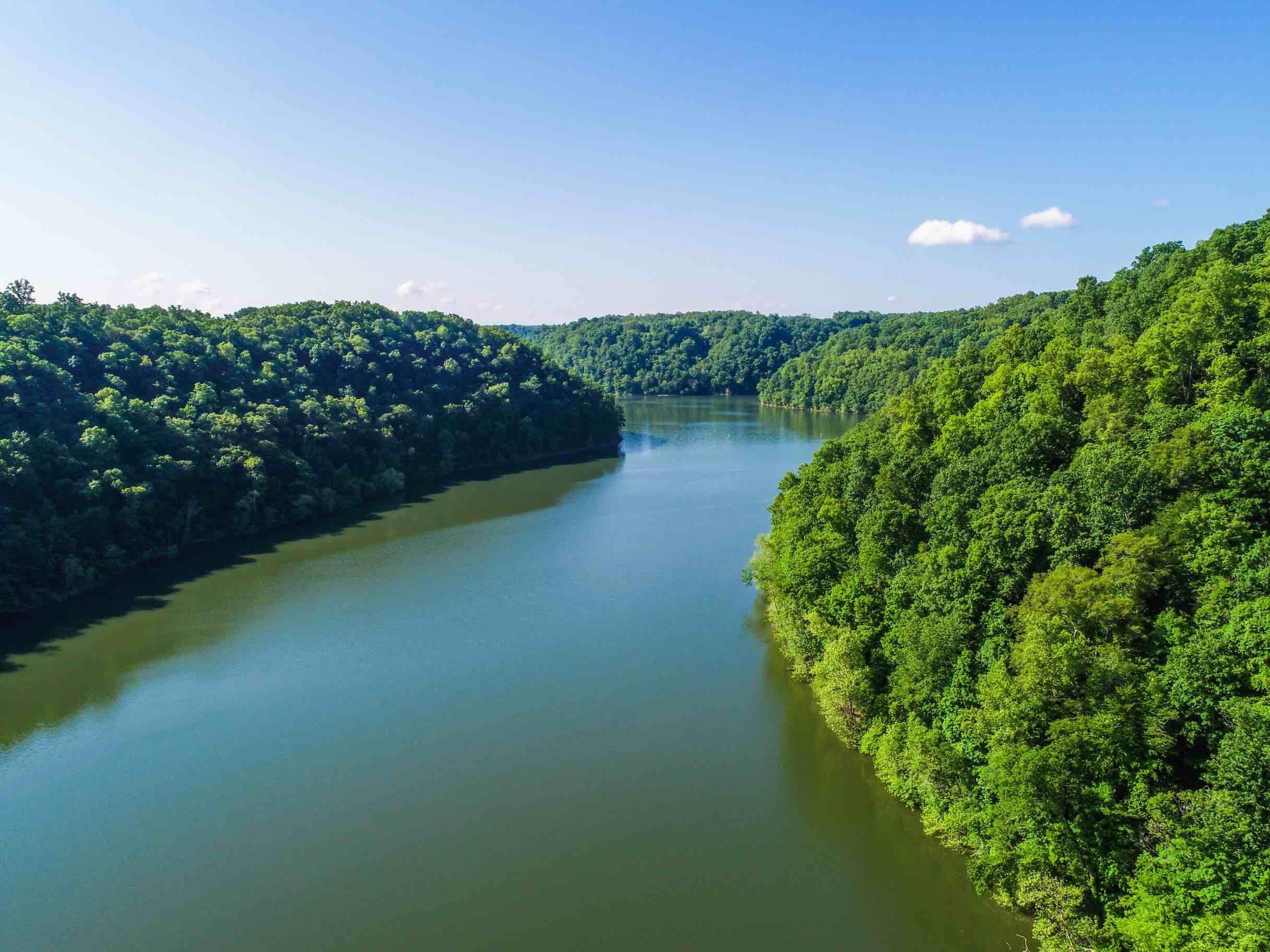 264 Stephens Point Road Russell Springs, KY 42642 - Photo 8 of 118 DJI_0059-21_res (8)