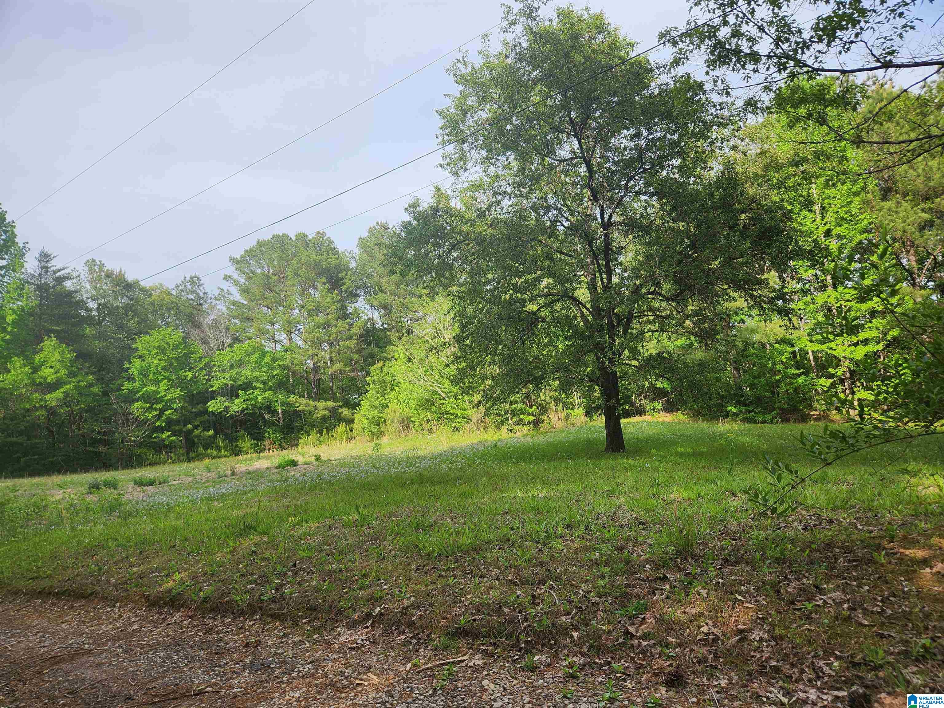 2213 Morris Majestic Road, Unit 9 Morris, AL 35116 - Photo 5 of 13