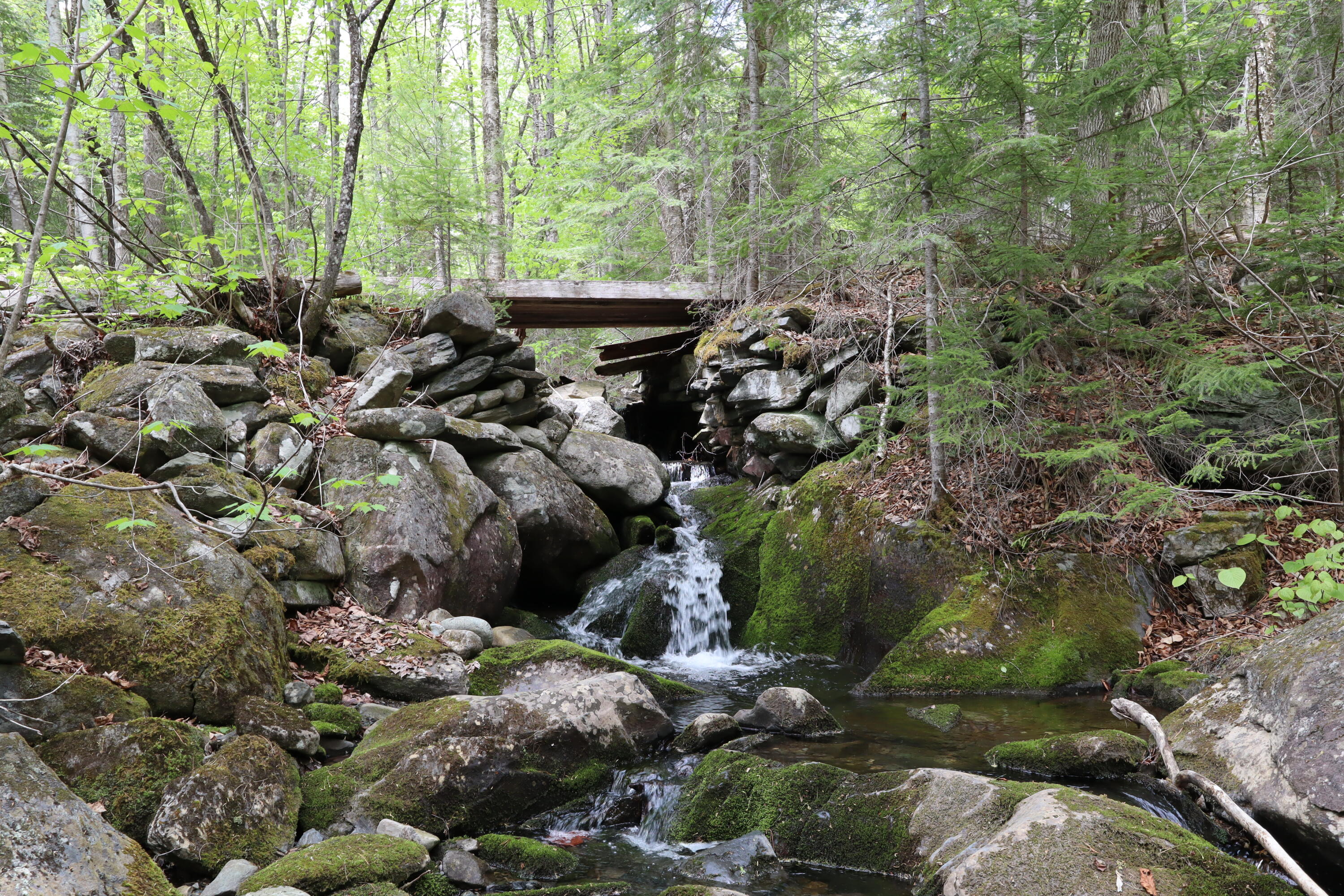 198 Scammon Road Greenville, ME 04441 - Photo 20 of 26 IMG_2324