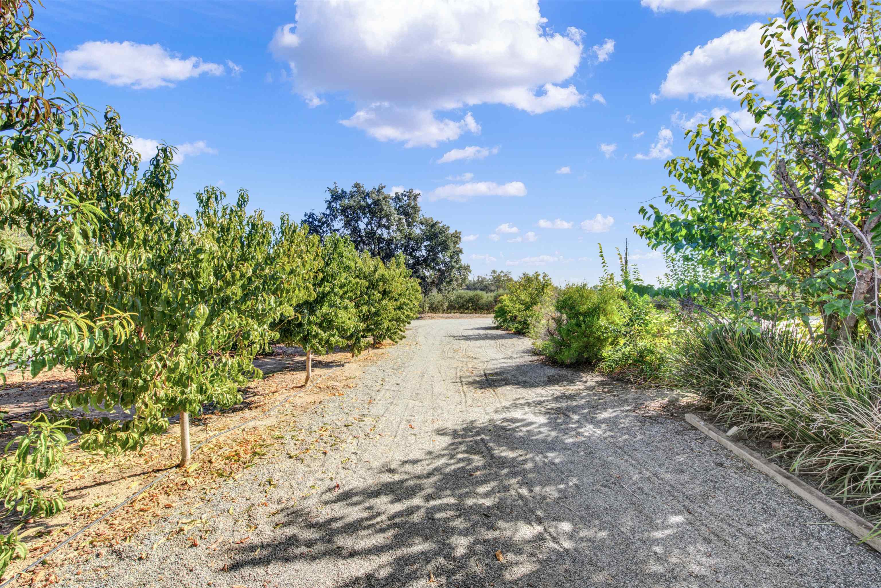 2110 Kirkwood Road Corning, CA 96021 - Photo 65 of 72 Gallery Image 65