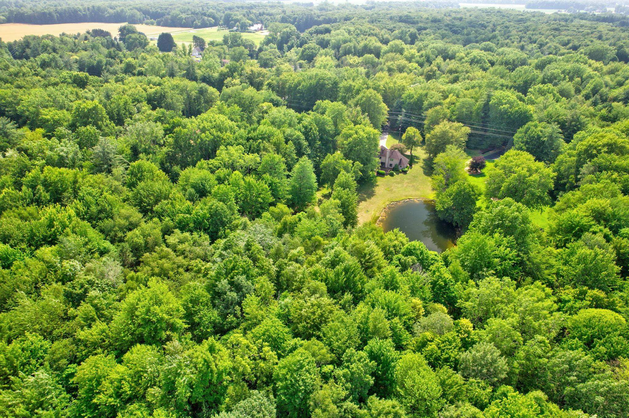 8665 South Gera Road Birch Run, MI 48415 - Photo 63 of 69 50214699-10604c82-8b8e-40e8-95fd-5bb8f8032c71.JPG