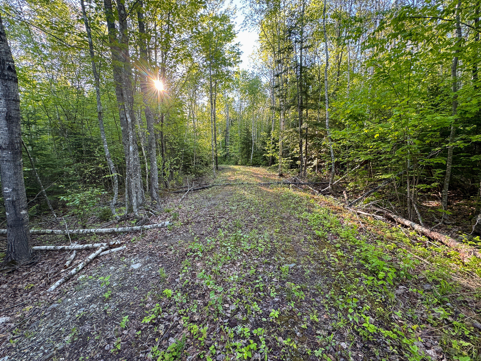 704 Long Point Road Lakeville, ME 04487 - Photo 7 of 29 IMG_3787