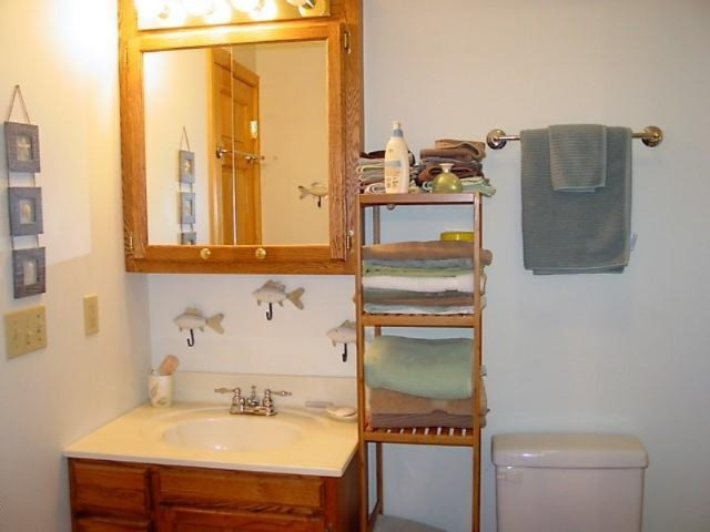 46868 Meadow Lane Decatur, MI 49045 - Photo 30 of 46 Master bath