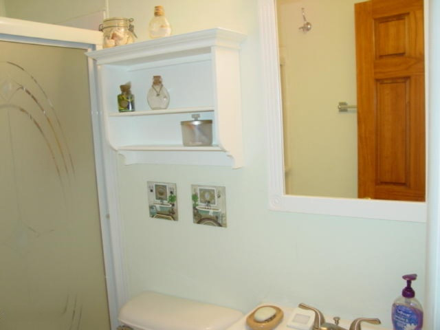 46868 Meadow Lane Decatur, MI 49045 - Photo 41 of 46 Bath b