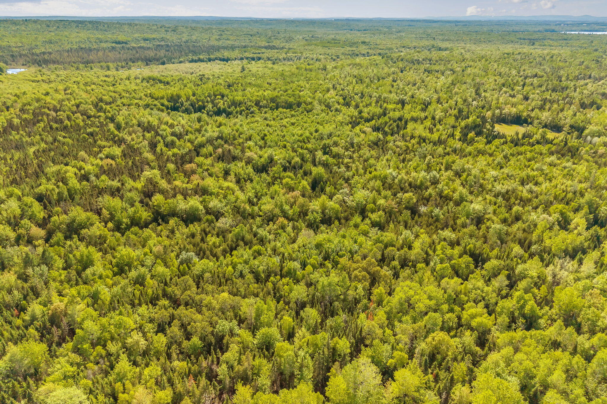 2392 Hudson Road Hudson, ME 04449 - Photo 66 of 77