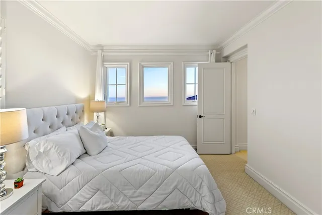 a view of a potted flower in the corridor