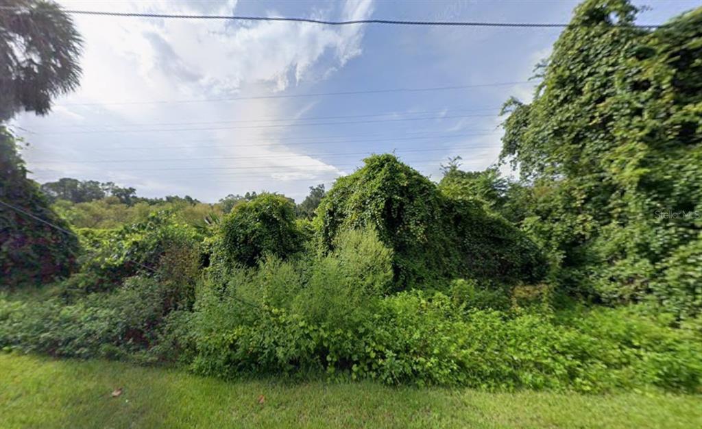 268 Toms Road DeBary, FL 32713 - Photo 6 of 8