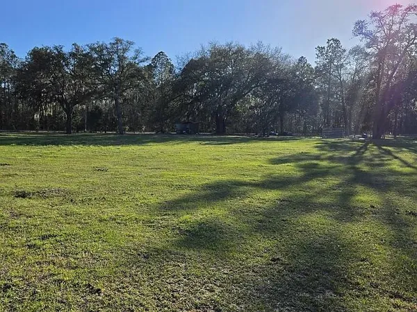 a view of a yard