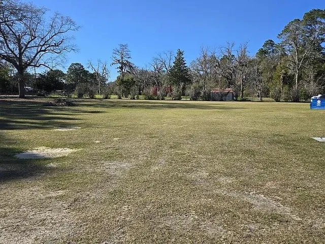 a view of a field with trees