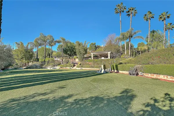 a view of a park with large trees