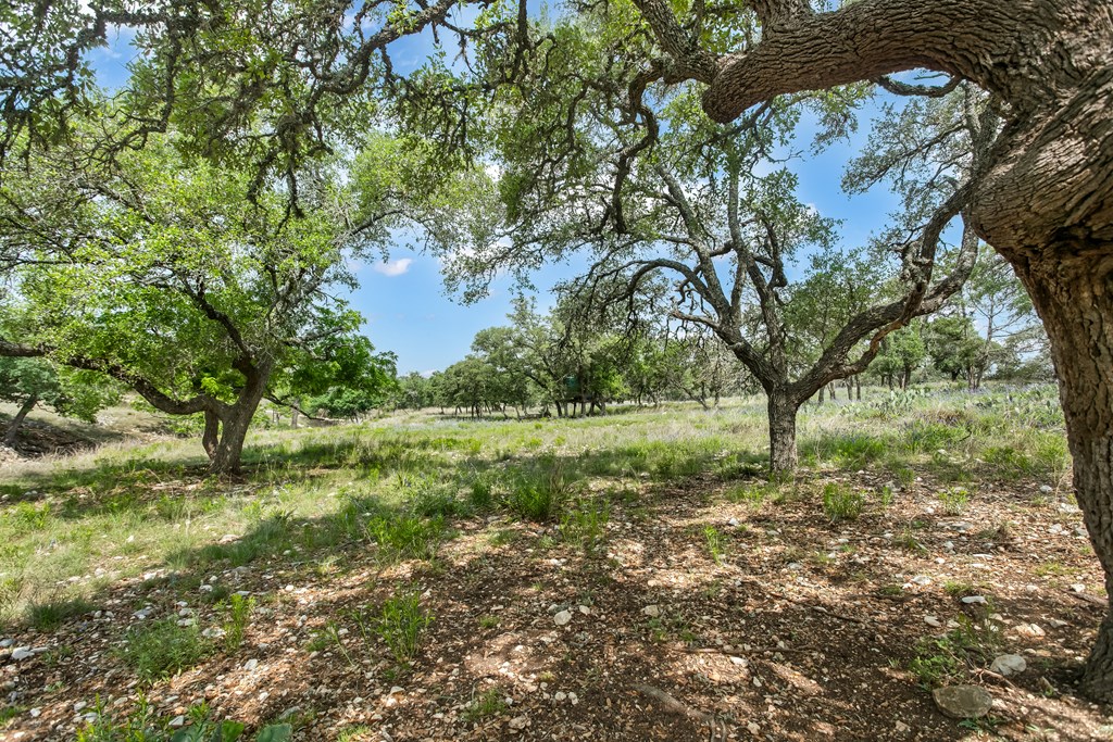 181 Real Lake House Road South Kerrville, TX 78028 - Photo 11 of 18 a view of outdoor space and yard