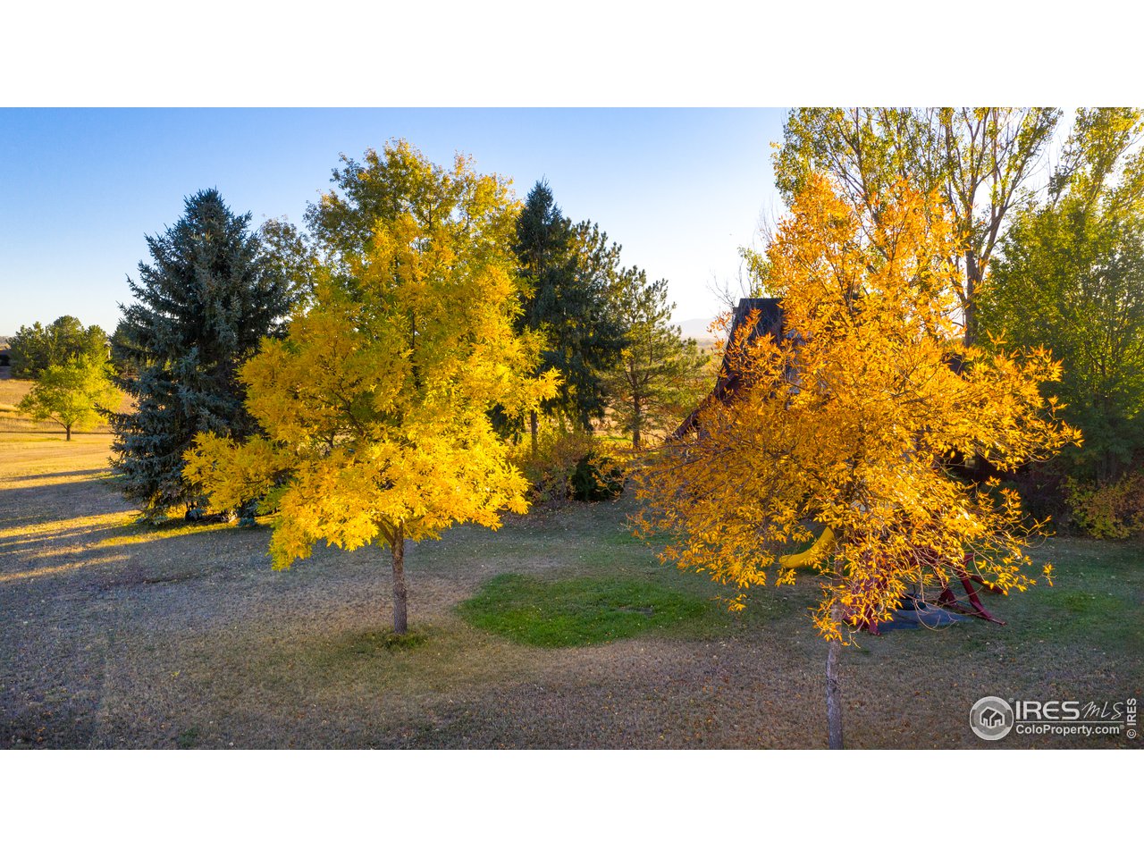 10060 Phillips Road Lafayette, CO 80026 - Photo 29 of 34 Fall Colors - back yard