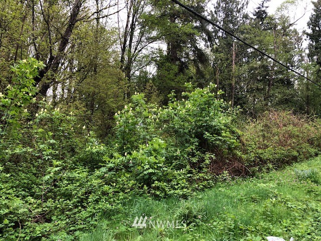 19-xxx Welch Road Snohomish, WA 98296 - Photo 3 of 10
