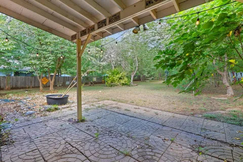 a view of a yard with a tree
