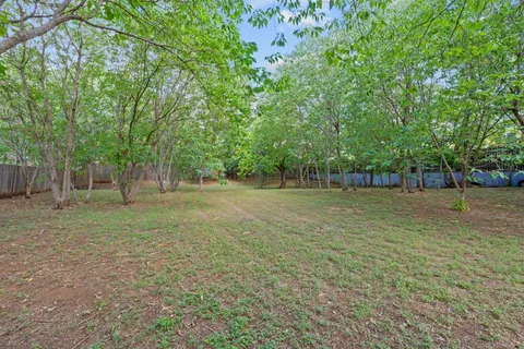 a view of a tree in a yard