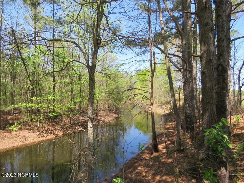 0 Modest Road Maxton, NC 28364 - Photo 14 of 17 IMG_6743