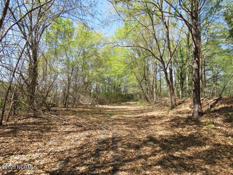 0 Modest Road Maxton, NC 28364 - Photo 17 of 17 IMG_6746