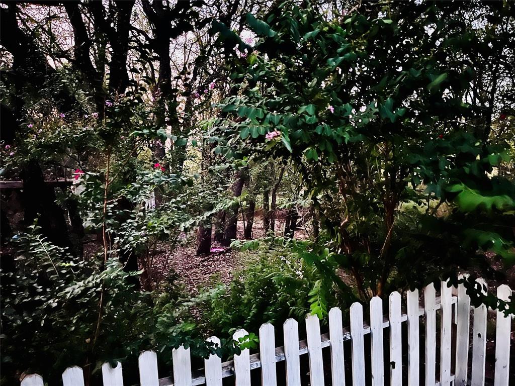 701 County Road 319 Early, TX 76802 - Photo 33 of 33 View of yard