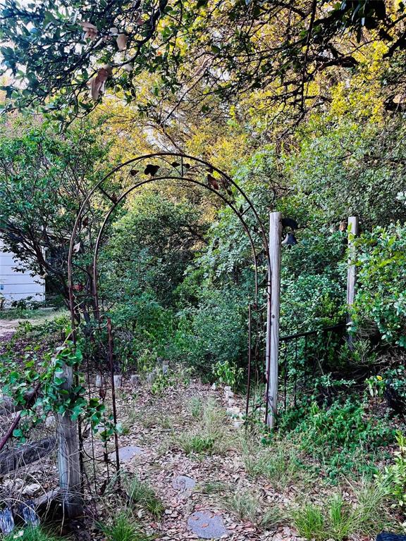 701 County Road 319 Early, TX 76802 - Photo 6 of 33 View of woods